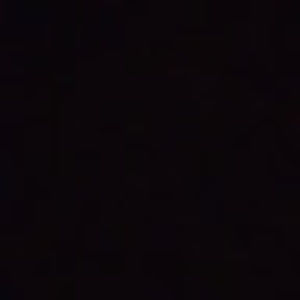 Meet your Posher, Leonard